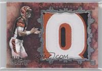 AJ McCarron #/25