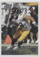 Troy Polamalu