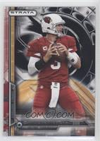 Carson Palmer