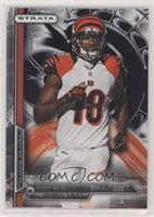 A.J. Green