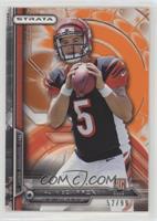 Rookie - A.J. McCarron #/99