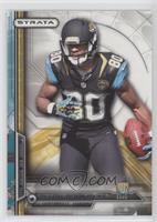 Rookie - Allen Robinson