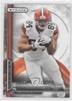 Jordan Cameron