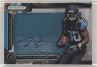 Allen Robinson