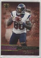 Andre Johnson #/399