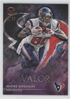 Andre Johnson #/99