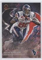 Andre Johnson