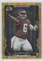 Blake Sims #/99