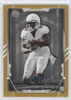 Cameron Artis-Payne #/399