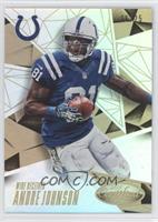 Andre Johnson #/25