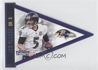 Joe Flacco