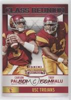 Troy Polamalu, Carson Palmer