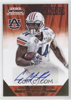 Cameron Artis-Payne