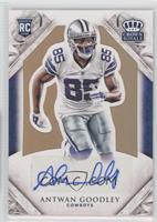 Rookie Signature - Antwan Goodley #/199