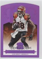 A.J. Green #/25