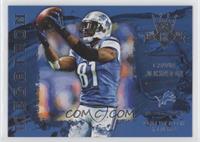 Calvin Johnson