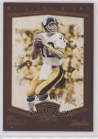 Limited Lithos - Terry Bradshaw