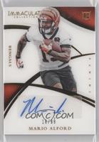 Rookie Autographs - Mario Alford #/99