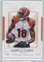 A.J. Green #/25