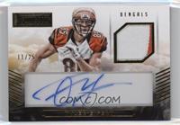 Tyler Eifert #/25