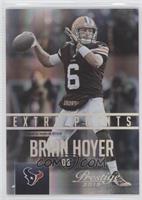 Brian Hoyer #/25