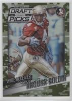 Anquan Boldin #/199