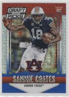 Sammie Coates #/25