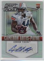 Cameron Artis-Payne