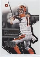 Andy Dalton