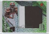 Duke Johnson #/25