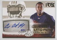 Cameron Artis-Payne #/20