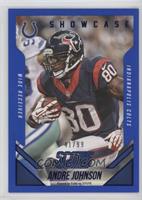 Andre Johnson #/99