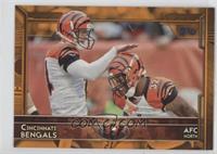 Cincinnati Bengals #/75