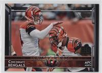 Cincinnati Bengals