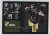 Troy Polamalu