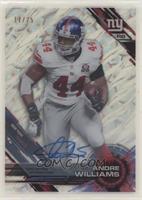 Andre Williams #/25