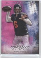 Jay Cutler #/99