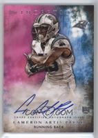 Cameron Artis-Payne #/99