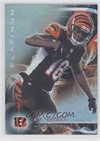 Veterans - A.J. Green