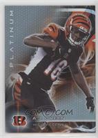 Veterans - A.J. Green