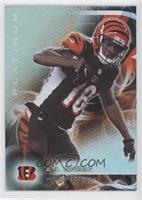 Veterans - A.J. Green