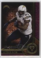 Antonio Gates #/232