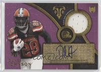 Duke Johnson #/75