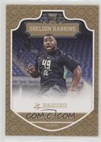 Rookies - Sheldon Rankins