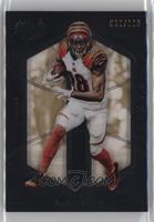 A.J. Green #/100