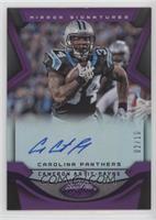 Cameron Artis-Payne #/10