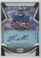 Hakeem Nicks #/25