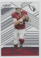 Carson Palmer (Arizona Cardinals)