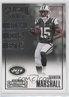 Season Ticket - Brandon Marshall