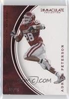 Adrian Peterson [EX to NM] #/25